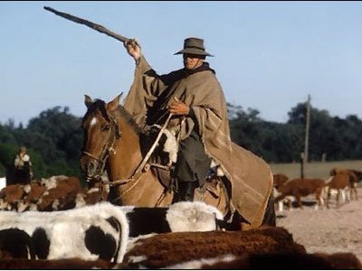 gaucho